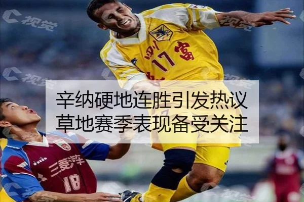 辛纳硬地连胜引发热议 草地赛季表现备受关注